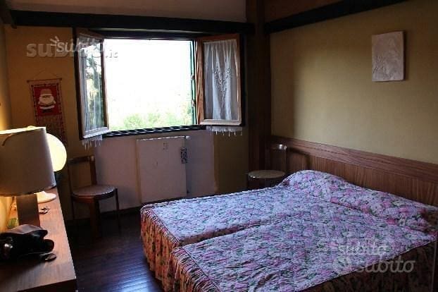 Pescasseroli prato verde1 — casa vacanze a Pescasseroli, Abruzzo — foto 3 di 6