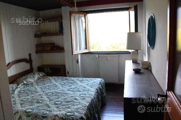 Pescasseroli prato verde1 — casa vacanze a Pescasseroli, Abruzzo — foto 4 di 6