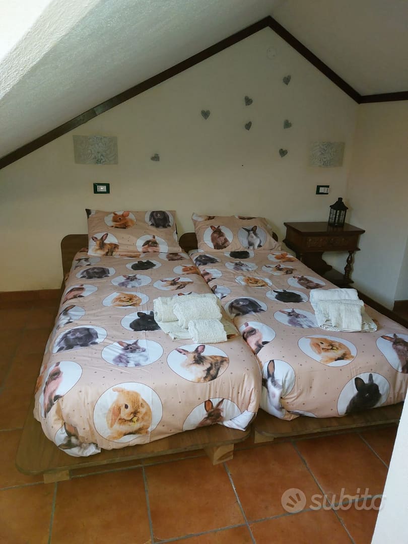 Il rifugio di flò — casa vacanze a Roccaraso, Abruzzo — foto 5 di 6