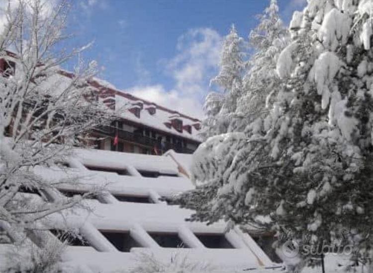 Pescasseroli casa vacanza Primula — casa vacanze a Pescasseroli, Abruzzo — foto 2 di 3